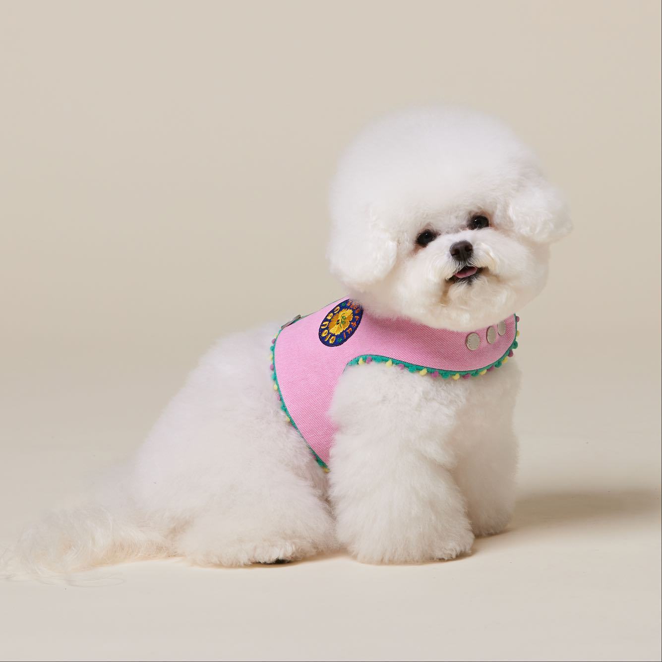 Reversible Harness Vest