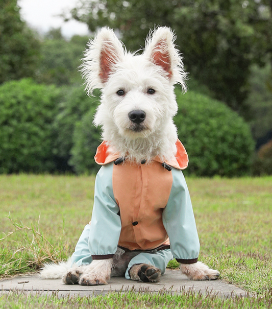 All Season Waterproof Dog Raincoat