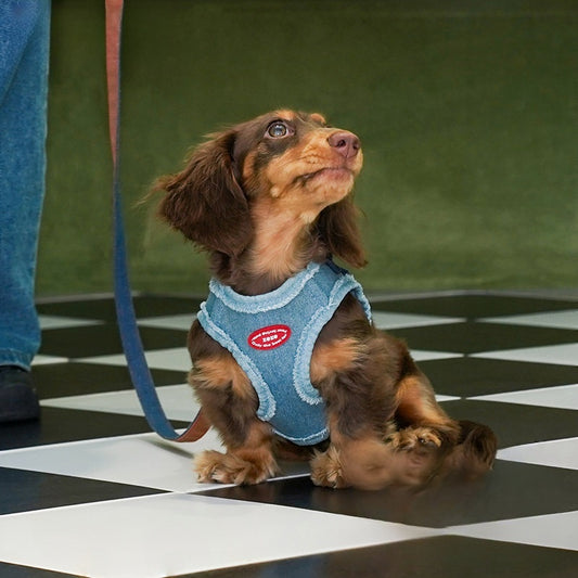 Denim Pet Harness Set
