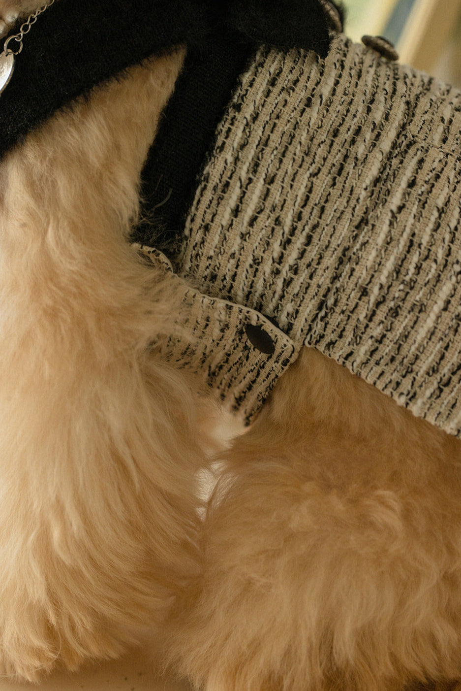 Elegant Tweed Pet Outfit