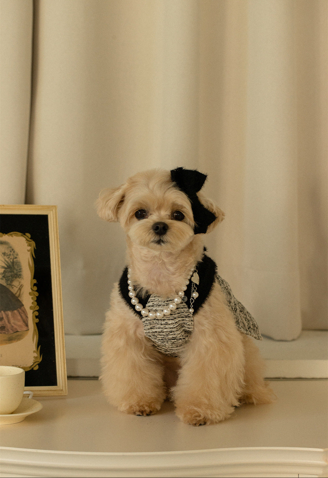 Elegant Tweed Pet Outfit