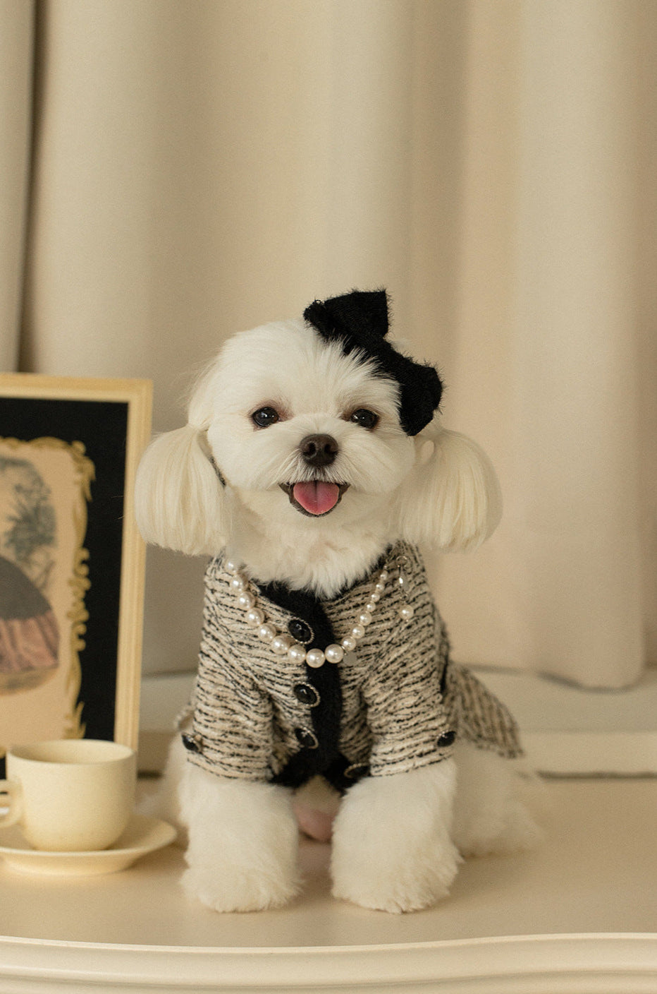 Elegant Tweed Pet Outfit